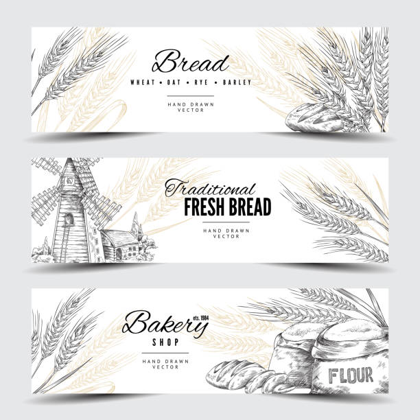 ilustrações de stock, clip art, desenhos animados e ícones de horizontal banners with spikelets, bread, flour, mill for bakery decoration - country bread