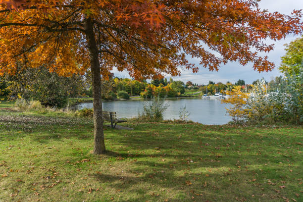 istock Autumn Lake Shoreline Colors 1352505503