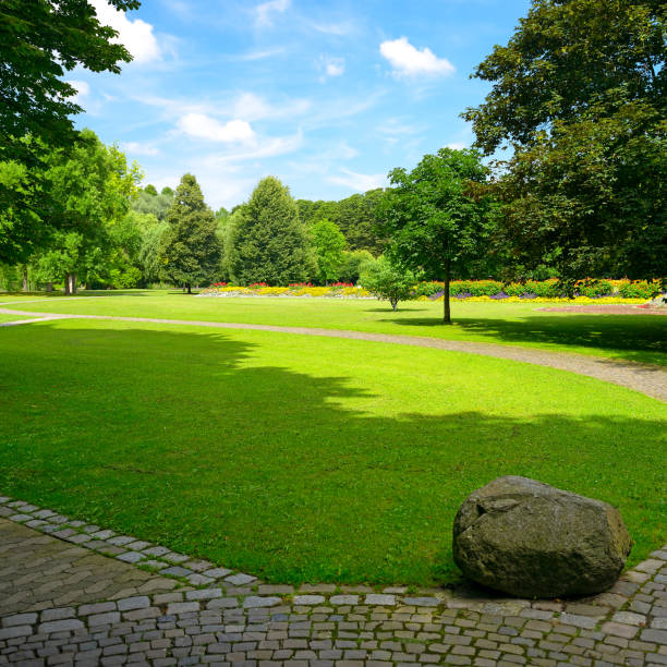 istock Lovely meadow with green grass and walking paths 1352506454