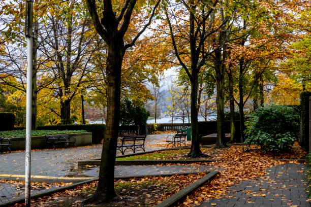 istock Late Autumn colour in a raining day 1352508856