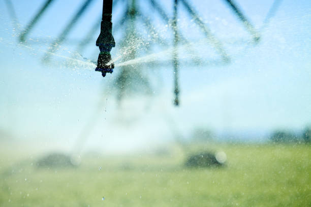 A center pivot sprinkler system, watering wheat, in the fertile farm fields of Idaho.