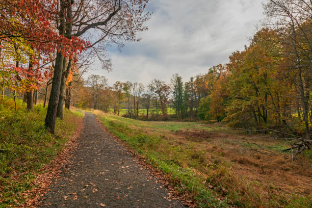 istock Autumn walkway in nature preserve 1352508878