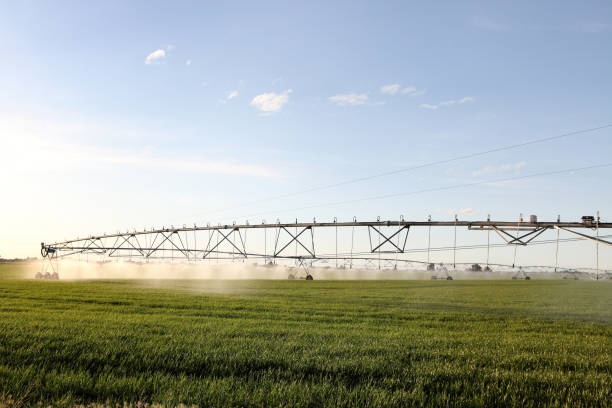 istock An agricultural sprinkler system in a farm field 1352508948