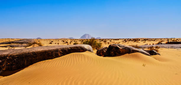 пустыня сахара в мавритании - dry landscape panoramic grass стоковые фото и изображения