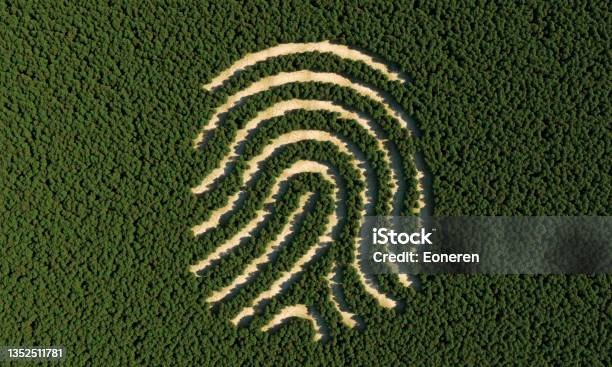 Deforestation In Shape Of Human Fingerprint Stock Photo - Download Image Now - Sustainable Resources, Environmental Conservation, Change