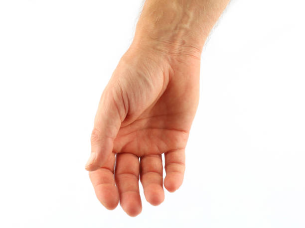 istock Palm of the hand relaxed male isolate 1352511829