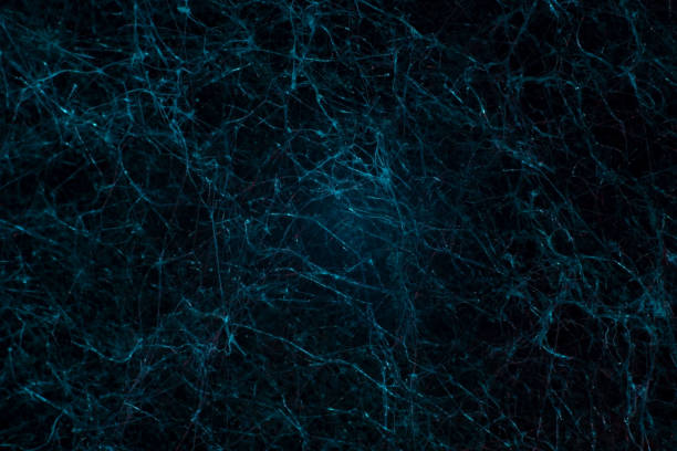 istock blue texture network abstraction natural mycelium mold neurons 1352513442