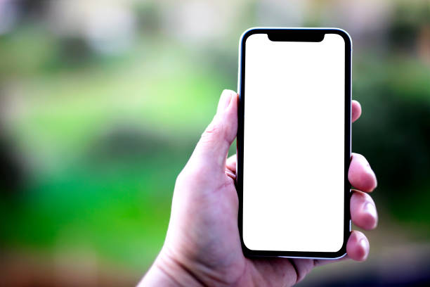 istock Man Holding Mobile Phone 1352513580
