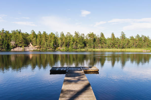 istock Swedish landscape, lake and forest 1352515363