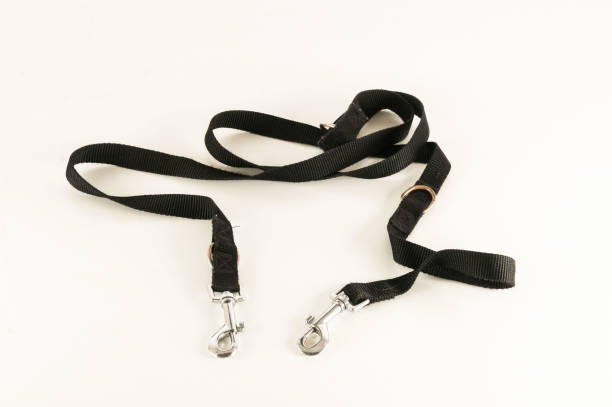 istock Close-up of a necklace strap 1352518203