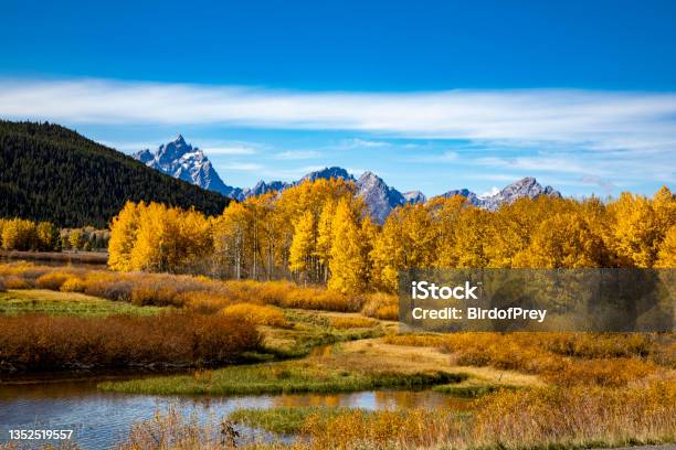 Fall Colors In The Grand Tetons National Park Stock Photo - Download Image Now - Autumn, Color Image, Grand Teton National Park