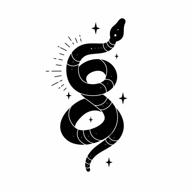 illustrations, cliparts, dessins animés et icônes de serpent noir vectoriel avec des objets magiques mystiques - snake