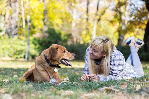 Positive young woman enjoying happy moments with her dog. Portrait of beautiful woman and happy mixed-breed dog on autumn yellow leaves