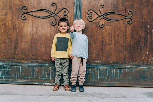 Portrait of two cute boys standing in front of wooden gate and looking at camera. Shot of two adorable little kids playing together outdoors.