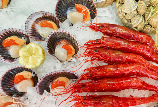 display with scallops (Chlamys varia) and carabineros (Aristaeopsis edwardsiana) on ice in a restaurant in Malaga. Andalusia, Spain