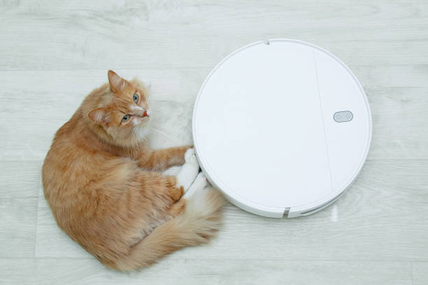 istock Ginger cat lying on the floor next to robot vacuum cleaner. View from above. 1352526712