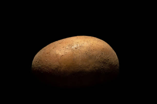 Raw potatoes on a black background. Organic products in the studio.
