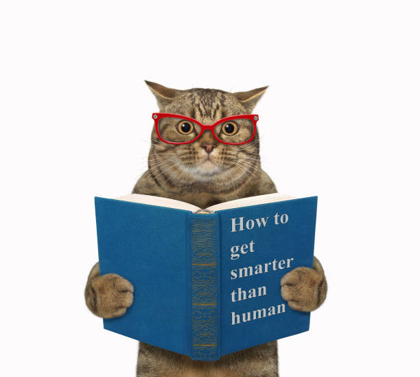 istock Cat in eyeglasses reads blue book 1352527420