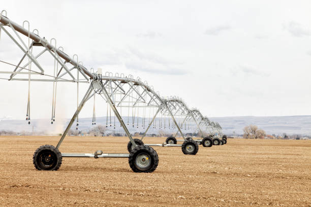 istock Agricultural center pivot 1352529131