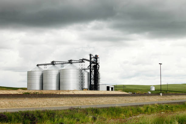 istock Farm granaries to store grain 1352529184