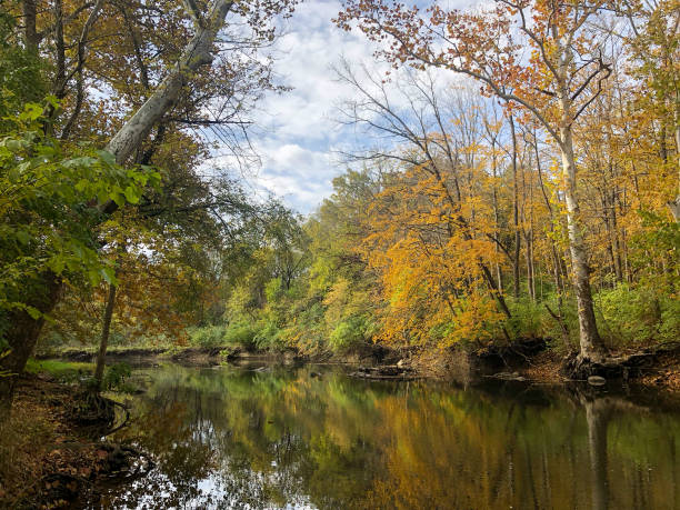 A Creek in the woods during beautiful autumn A Creek in the woods during beautiful autumn hott stock pictures, royalty-free photos & images