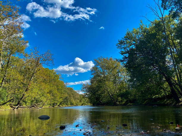 istock Clear blue sky above beautiful calm stream 1352531782