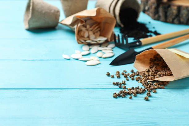 Vegetable seeds and gardening tools on light blue wooden table. Space for text