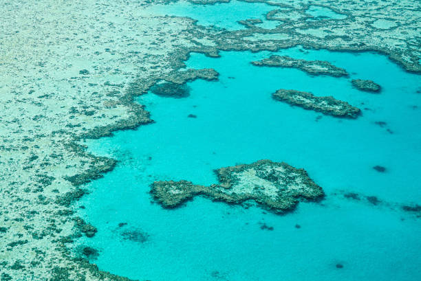 istock Hardy Reef, Whitsunday Islands, Great Barrier Reef, Australia 1352535395