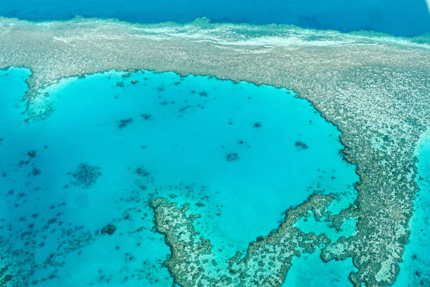 istock Hardy Reef, Whitsunday Islands, Great Barrier Reef, Australia 1352535412