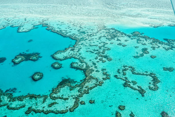istock Hardy Reef, Whitsunday Islands, Great Barrier Reef, Australia 1352535511