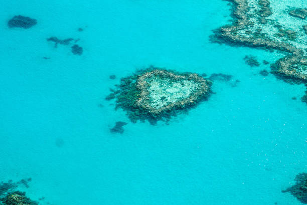 Heart Reef within Hardy Reef, Whitsunday Islands, Great Barrier Reef, Australia Aerial view of the Heart Reef inside Hardy Reef in the Whitsunday Islands of the Great Barrier Reef, Australia great barrier reef marine park stock pictures, royalty-free photos & images