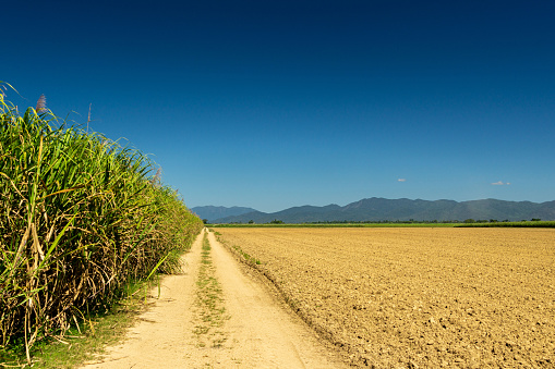 Wide open fields of harvested sugar cane against the backdrop of vast open skies