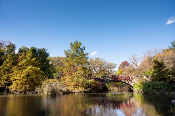 istock autumn central park and buildings 1352537196