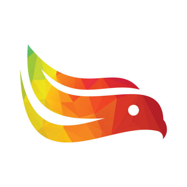 ilustrações de stock, clip art, desenhos animados e ícones de eagle head logo vector design. - phoenix fire tattoo bird