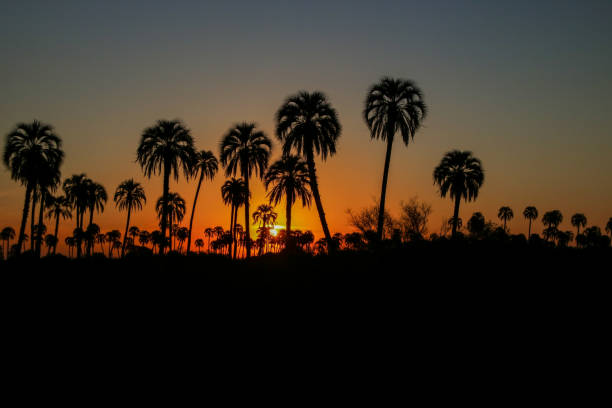 istock Sunsets in Entre Rios 1352548934