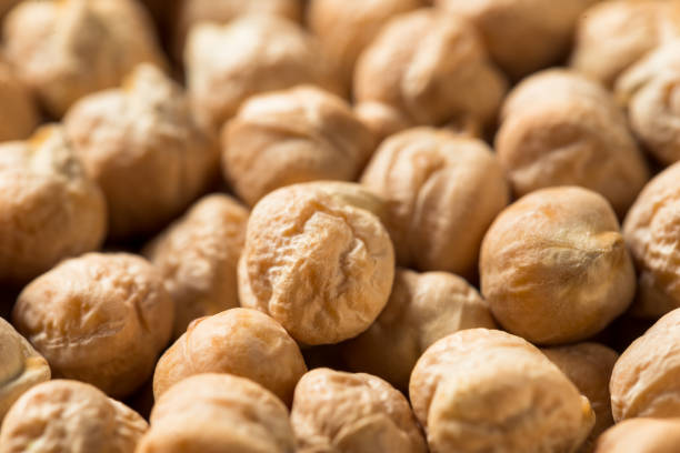 istock Dry Organic Chickpea Garbanzo Beans 1352551560