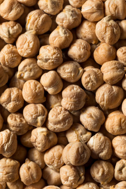 istock Dry Organic Chickpea Garbanzo Beans 1352552113