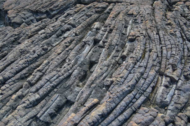 istock Pahoehoe lava 2 1352556135