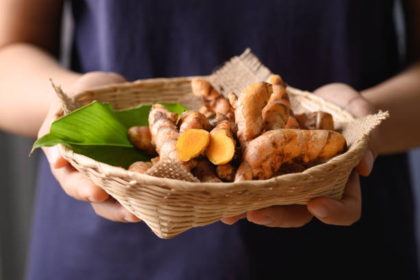 Fresh turmeric in a basket holding by hand stock photo