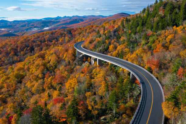 The road through the Blue Ridge Parkway in North Carolina. Fall colored trees. Road through the fall trees with mountains in background. blue ridge parkway stock pictures, royalty-free photos & images