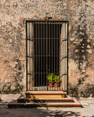 Facade of Metal Doorway with Flower Pots in Mexico