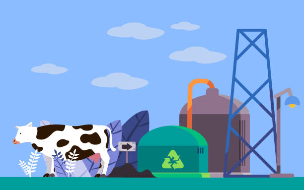 ilustrações de stock, clip art, desenhos animados e ícones de biogas technology installation which produces gas from biological activities of cows in anaerobic fermentation process and as a renewable energy - reacção química