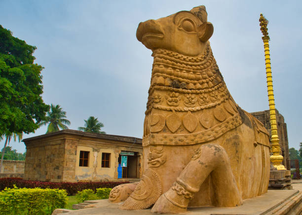 istock Monolithic Bull Nandhi statue at Brihadeeswarar temple. 1352568952