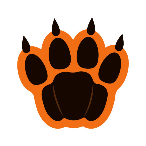 Vector tiger paw with claws. Logo template for design. 2022 symbol. vector art illustration