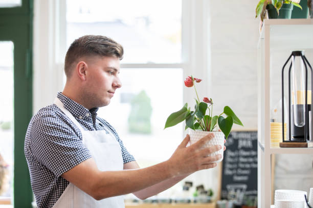 istock Man stocking shelves while working in local gardening plant store 1352575277