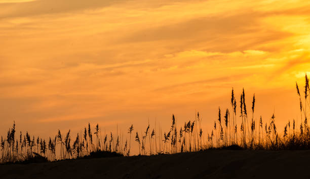 Sunset Sky in the outer banks Dunes Sunset sky in the outer banks, North Carolina outer banks north carolina stock pictures, royalty-free photos & images
