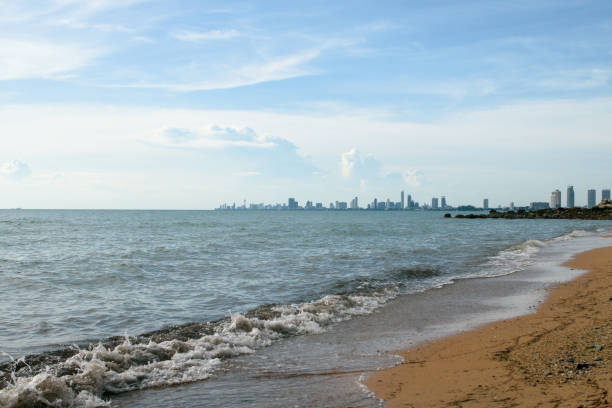 istock Dirty beach with blue sky and city background. 1352582599