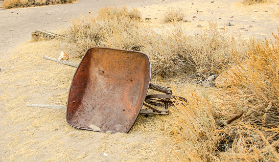 An abandoned wheelbarrow sits amongst the dry grass.