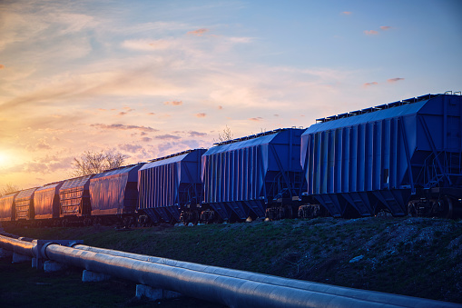Train with wagons loaded with grain moves at sunset along the pipeline