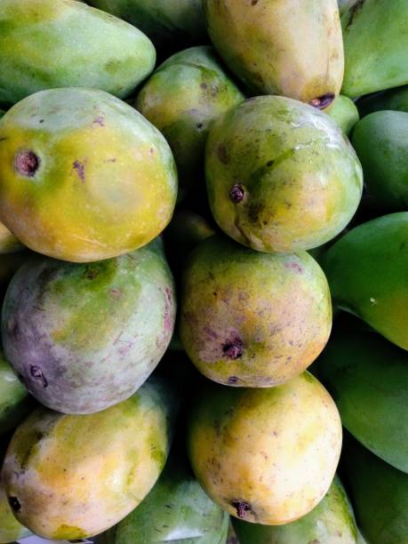 istock Mangoes sold in fruit shops 1352592589